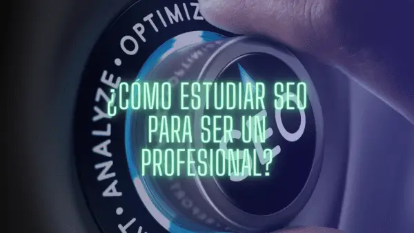 SEO para ser un profesional